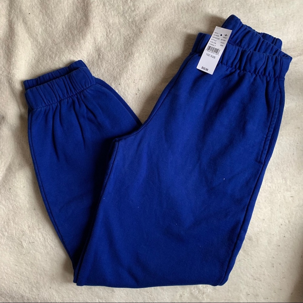 Blue Brandy Melville Sweatpants (John Galt)